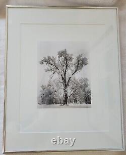 Ansel Adams Yosemite Oaktree Snowstorm Special Edition