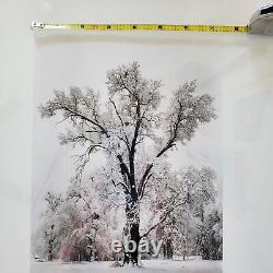 Ansel Adams Yosemite Oaktree Snowstorm Special Edition