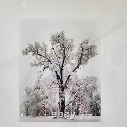 Ansel Adams Yosemite Oaktree Snowstorm Special Edition