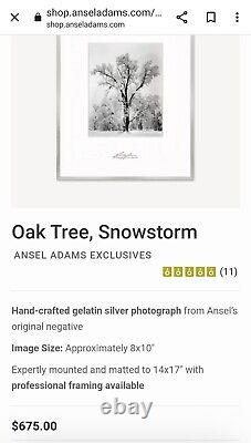 Ansel Adams Yosemite Oaktree Snowstorm Special Edition