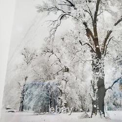 Ansel Adams Yosemite Oaktree Snowstorm Special Edition