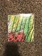 Less Than Jake American Idle Ganga Green Mint 7 Vinyl