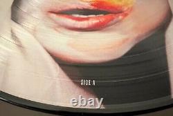 Lady Gaga Applause (remixes) Limited Edition Picture Disc Single Vinyl Rsd 2013