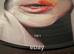 Lady Gaga Applause (remixes) Limited Edition Picture Disc Single Vinyl Rsd 2013