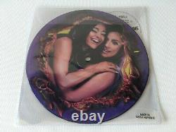 Lady Gaga Rain On Me 7 Single Picture Disc Vinyl