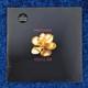 Madonna Sealed You'll See 12'' Vinyl Lp Us 1995 Promo Hype Live To Tell Veras