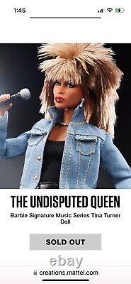 Most Expensive Barbie Signature Music Series Tina Turner Doll On The Internet