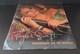 Taylor Swift Teardrops On My Guitar 7 Vinyl Record Numbered Big Machine New