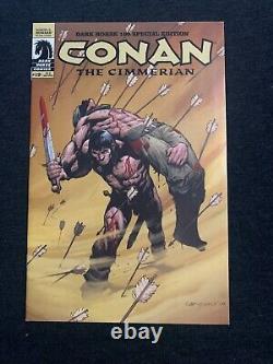 Conan Le Cimmérien #19 Dark Horse 100 Edition Spéciale RARE VARIANT COULEUR /1000