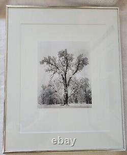 Édition spéciale de l'orage de neige du chêne de Yosemite d'Ansel Adams