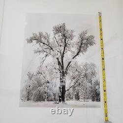 Édition spéciale de l'orage de neige du chêne de Yosemite d'Ansel Adams