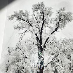 Édition spéciale de l'orage de neige du chêne de Yosemite d'Ansel Adams