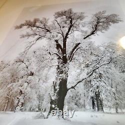Édition spéciale de l'orage de neige du chêne de Yosemite d'Ansel Adams
