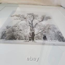 Édition spéciale de l'orage de neige du chêne de Yosemite d'Ansel Adams