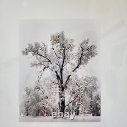 Édition spéciale de l'orage de neige du chêne de Yosemite d'Ansel Adams