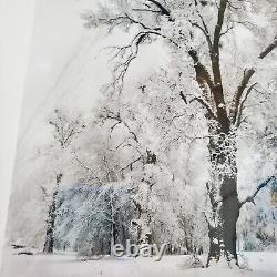 Édition spéciale de l'orage de neige du chêne de Yosemite d'Ansel Adams