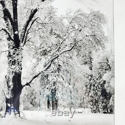 Édition spéciale de l'orage de neige du chêne de Yosemite d'Ansel Adams